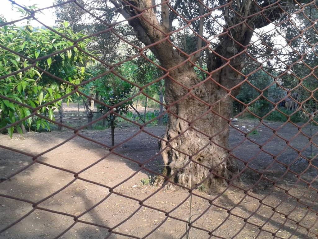 Terreno a Capua in Via Ponte Piazza - Foto 4