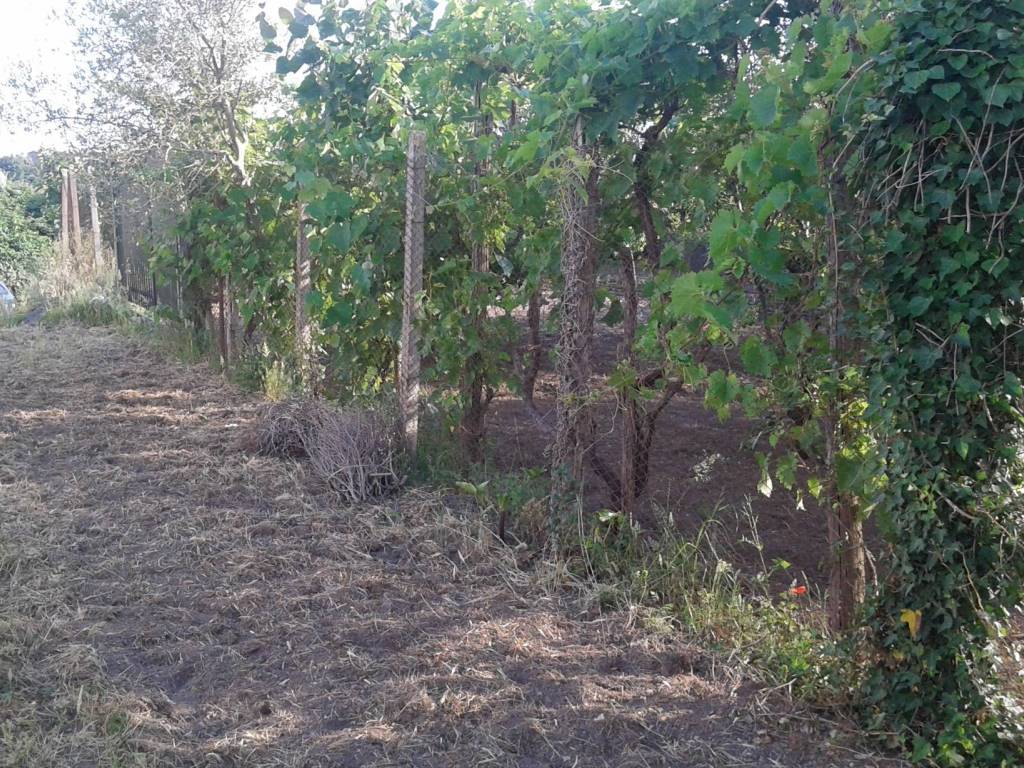 Terreno a Capua in Via Ponte Piazza - Foto 5