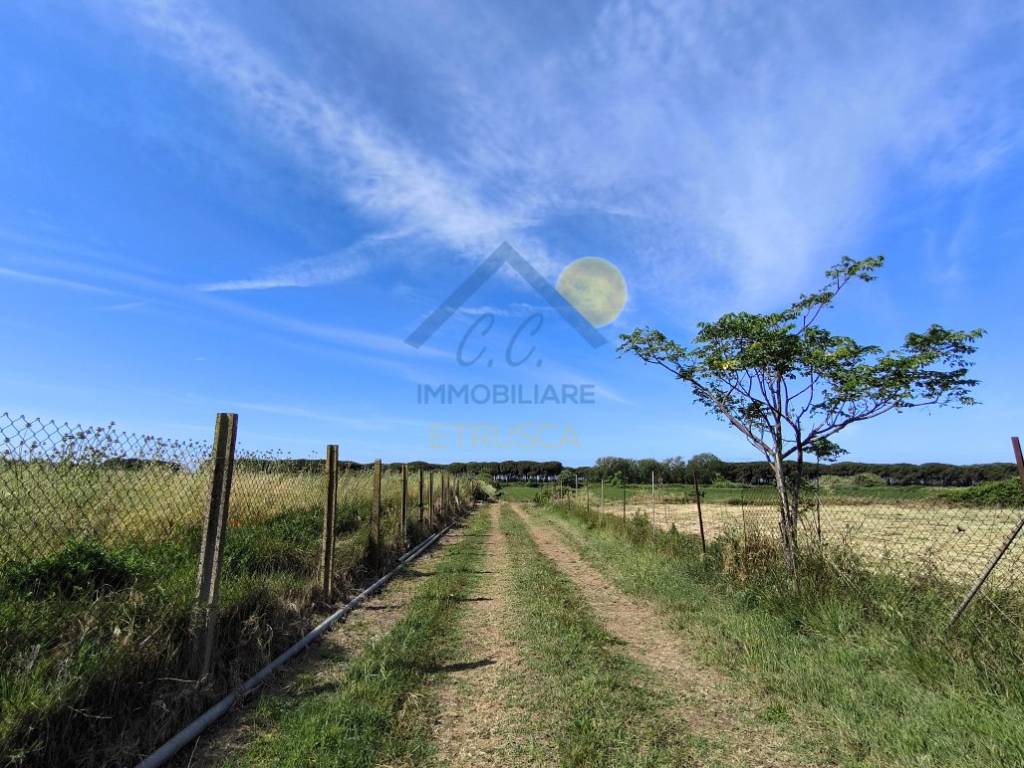 Terreno a Montalto di castro in Strada delle Murelle - Foto 2