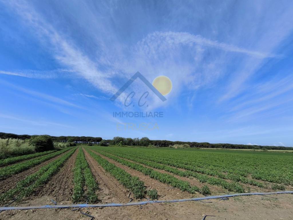 Terreno a Montalto di castro in Strada delle Murelle - Foto 4