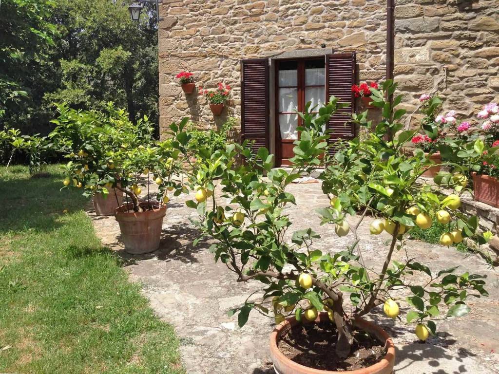 Rustico / casale a Cortona in Case Sparse Cortona, 489 - Foto 3
