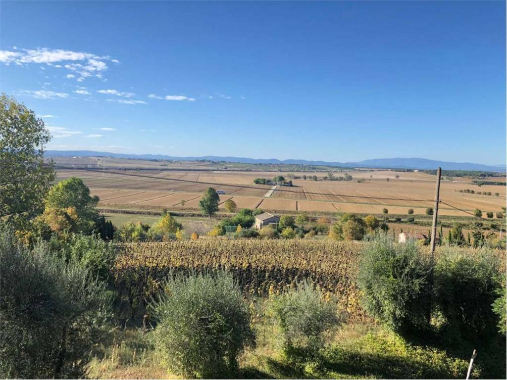Rustico / casale a Cortona in SP28 - Foto 4