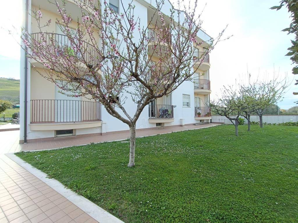 Immobile a Pineto in Piazza Peppino De Filippo, 3 - Foto 4