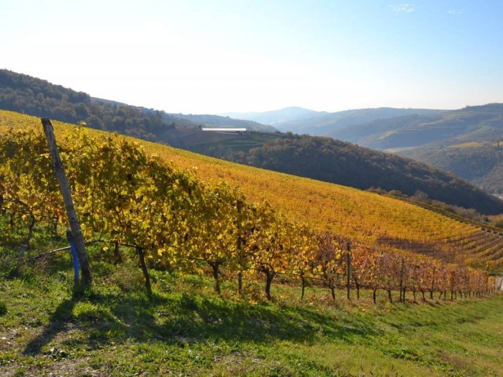 Terreno a Negrar di valpolicella in Via Casa Zamboni, 20 - Foto 3