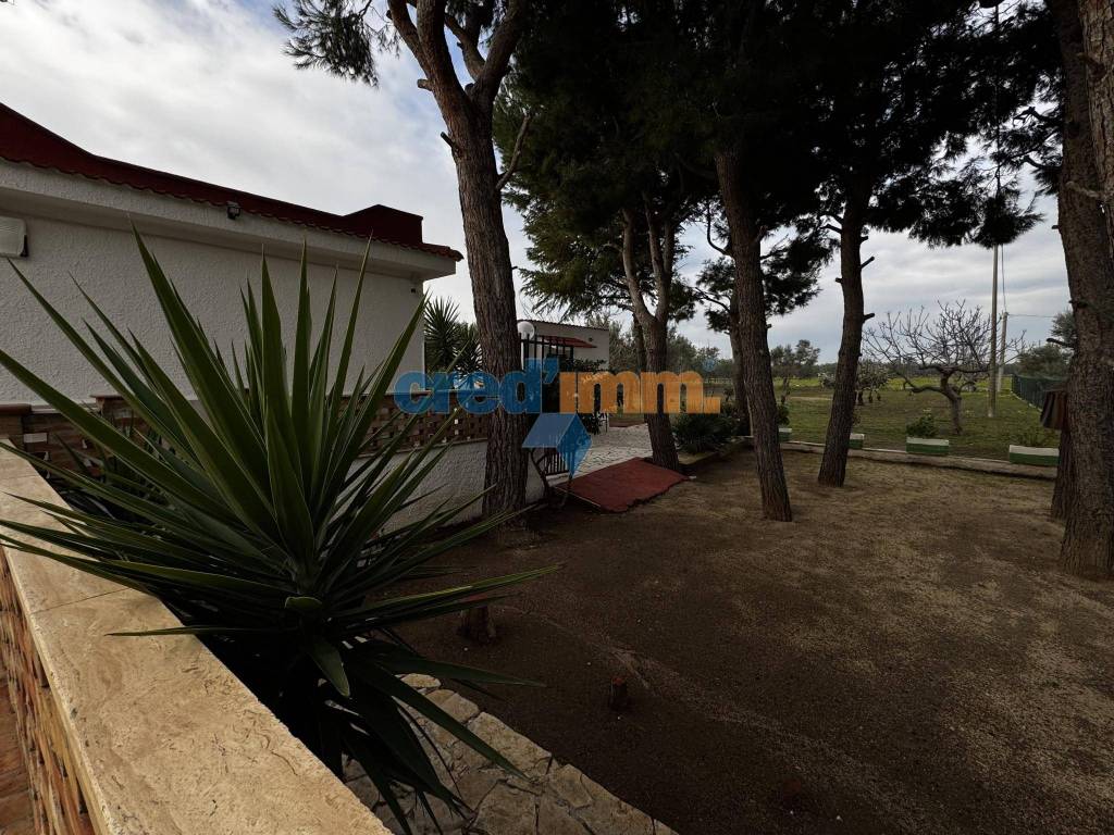 Villa a Bisceglie in contrada pietre rosse, 166 - Foto 5