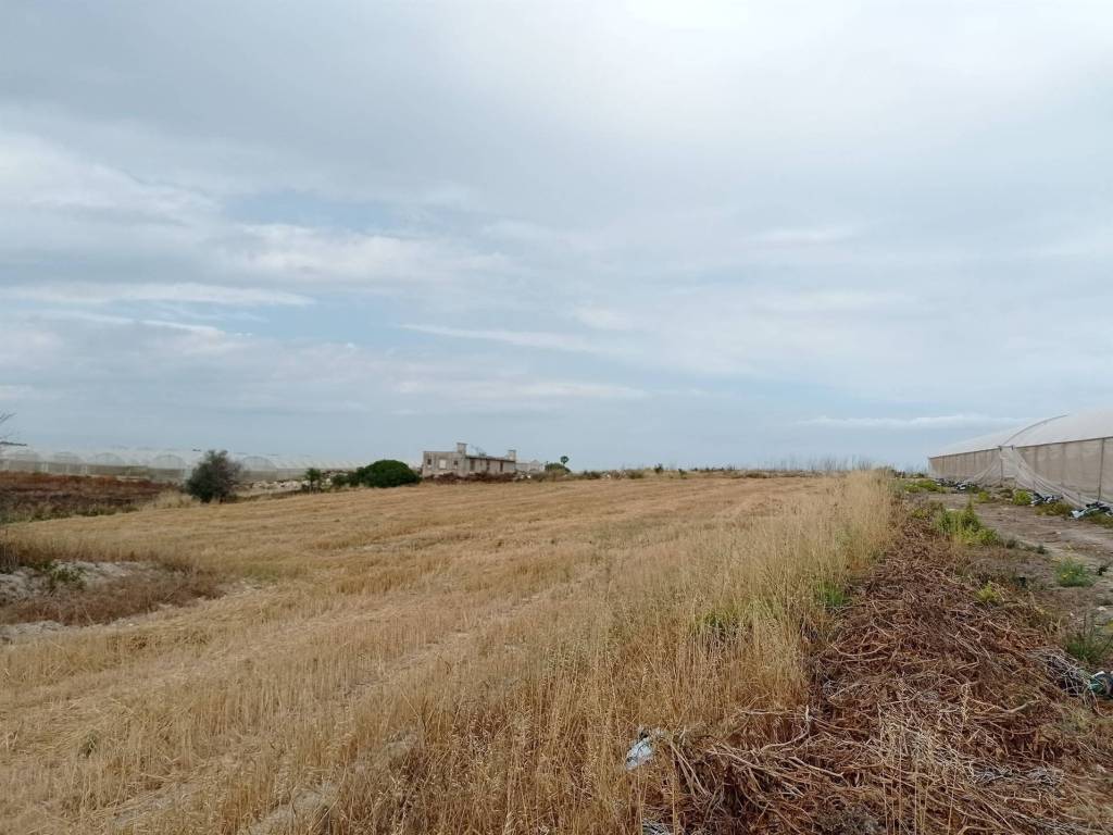 Terreno a Pachino - Foto 3