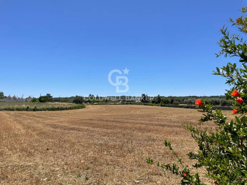 Terreno a Martina franca in Contrada Guarini - Foto 4