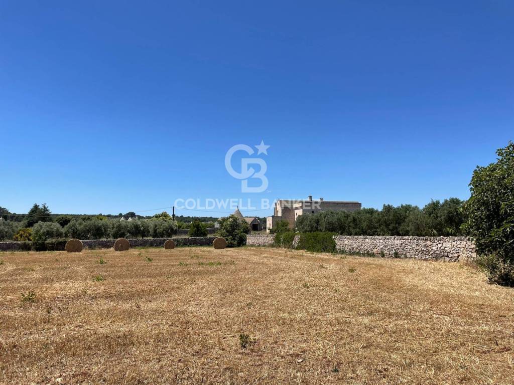 Terreno a Martina franca in Contrada Guarini - Foto 5