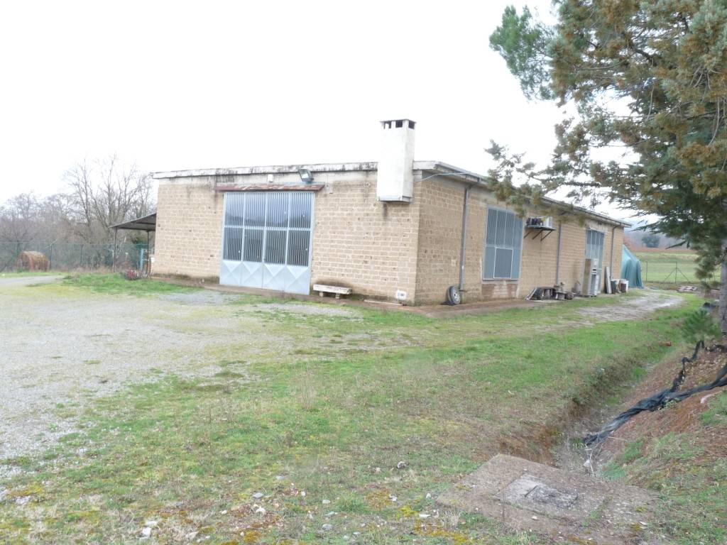 Terreno a Città della pieve - Foto 3