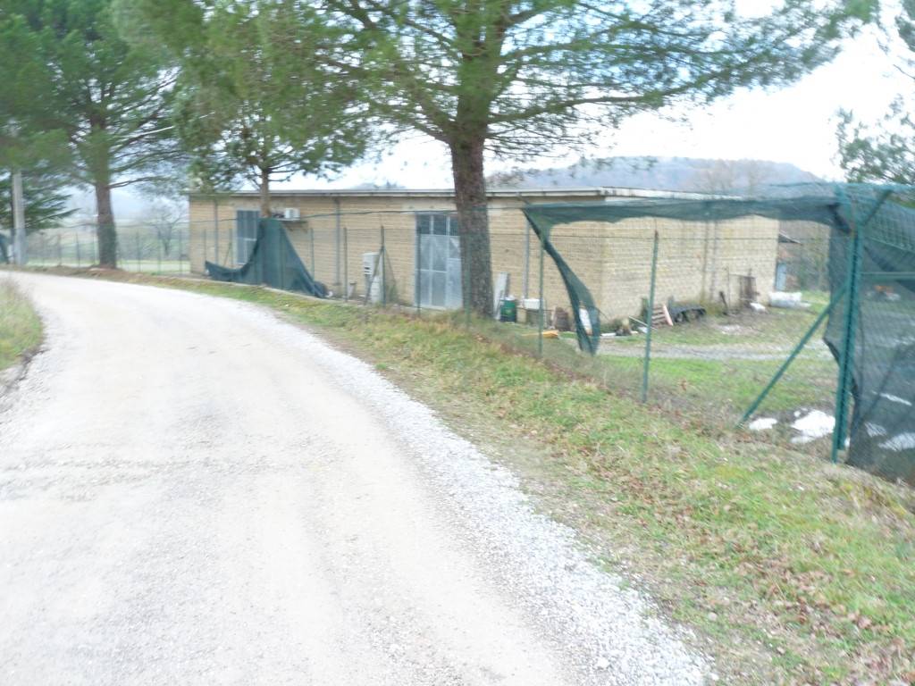 Terreno a Città della pieve - Foto 4