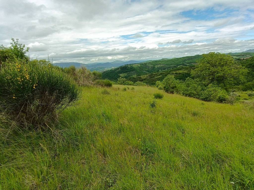 Terreno a Perugia in Strada Provinciale di Fratticiola Selvatica - Foto 2