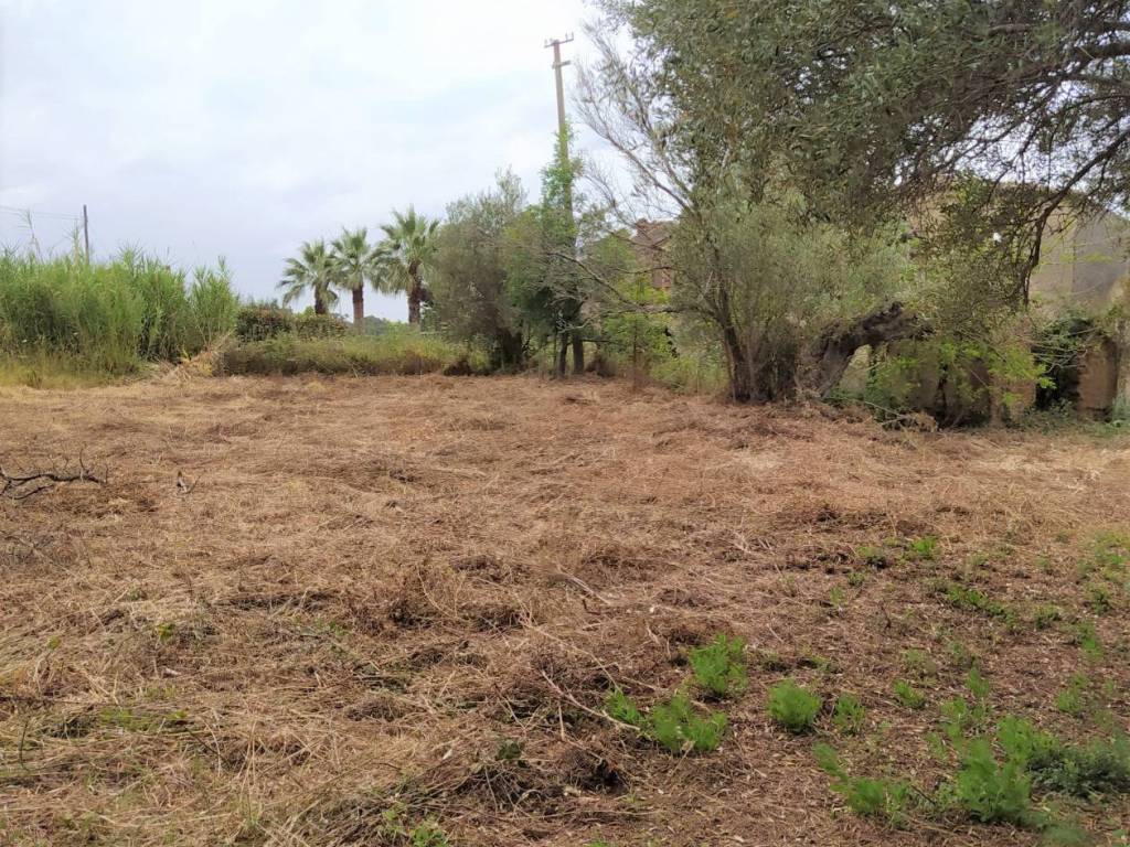 Terreno a Drapia in gasponi - Foto 2