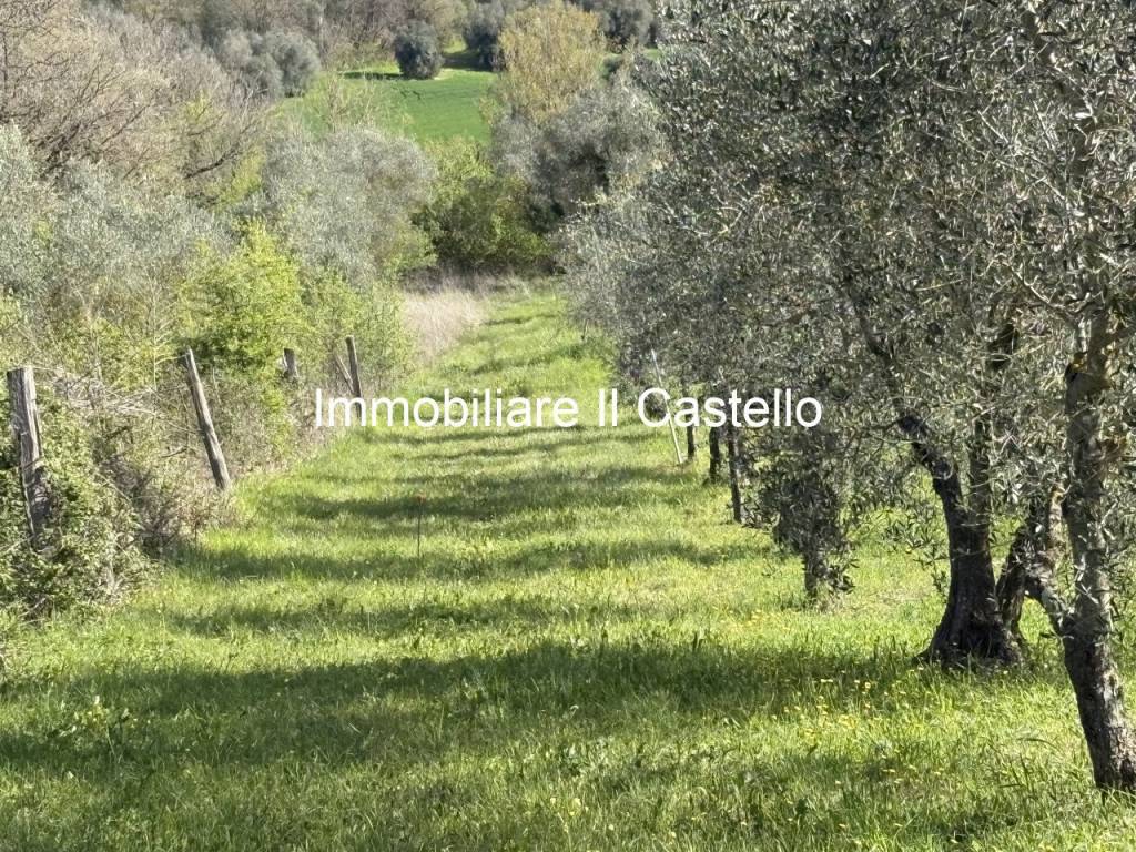Rustico / casale a Castiglione del lago in Via Galeotti - Foto 5