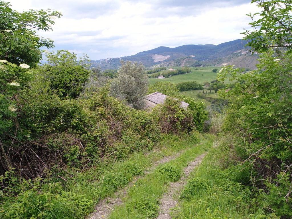 Rustico / casale a Poggio nativo in Via Mirtense - Foto 3