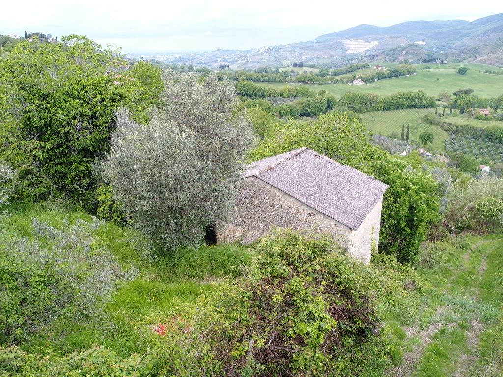 Rustico / casale a Poggio nativo in Via Mirtense - Foto 4