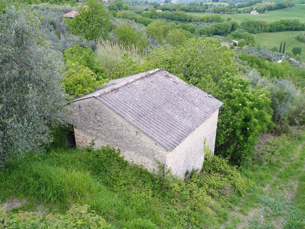 Rustico / casale a Poggio nativo in Via Mirtense - Foto 5