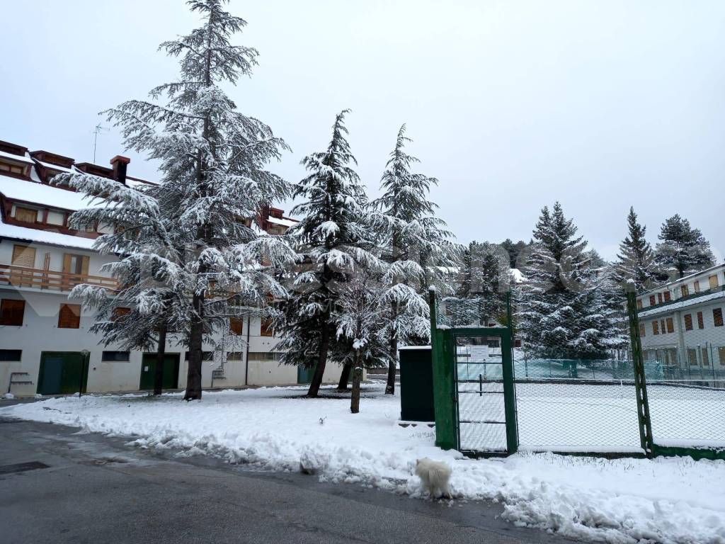 Attico / mansarda a Rivisondoli in Via Raffaello Sanzio - Foto 3