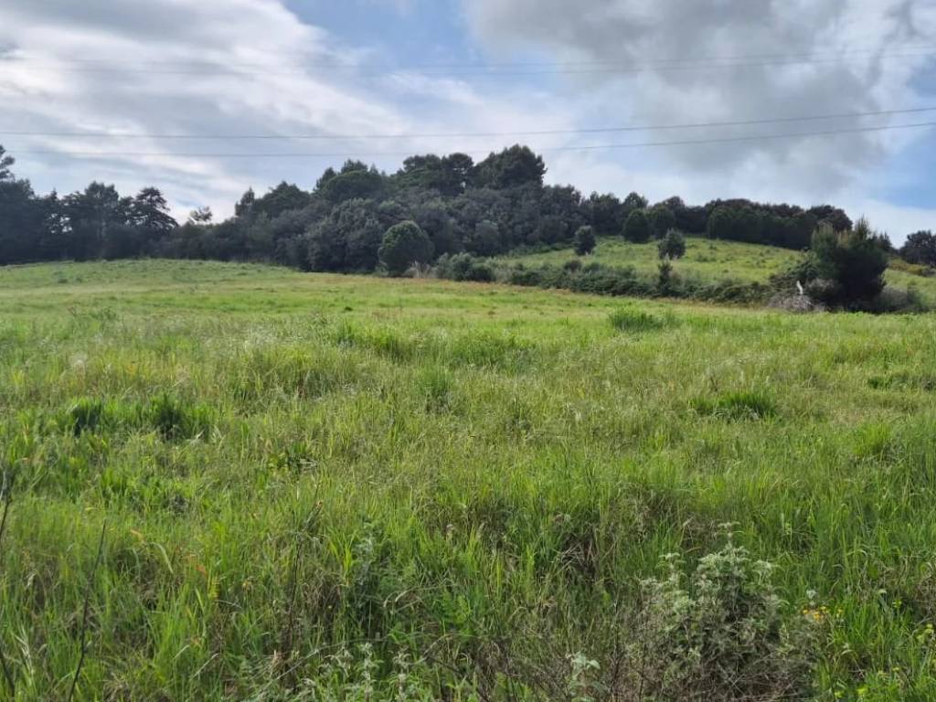 Terreno a Piombino - Foto 2