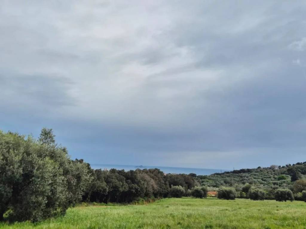 Terreno a Piombino - Foto 5