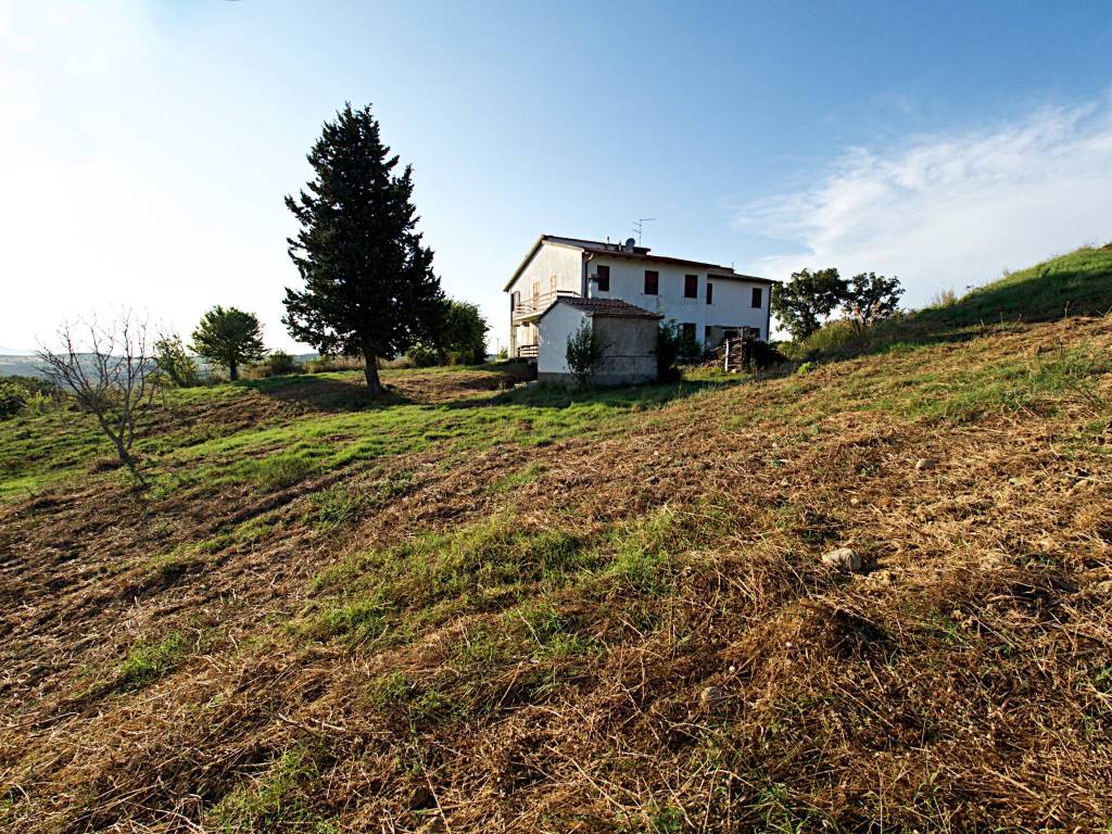 Rustico / casale a Cinigiano - Foto 2