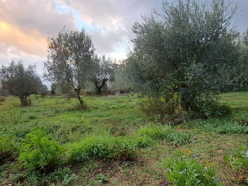 Immobile a Stefanaconi in Contrada Croce Nivera - Foto 3
