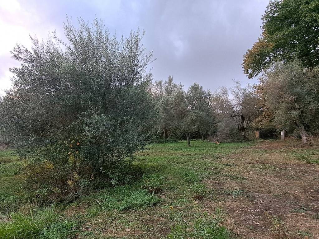 Immobile a Stefanaconi in Contrada Croce Nivera - Foto 4