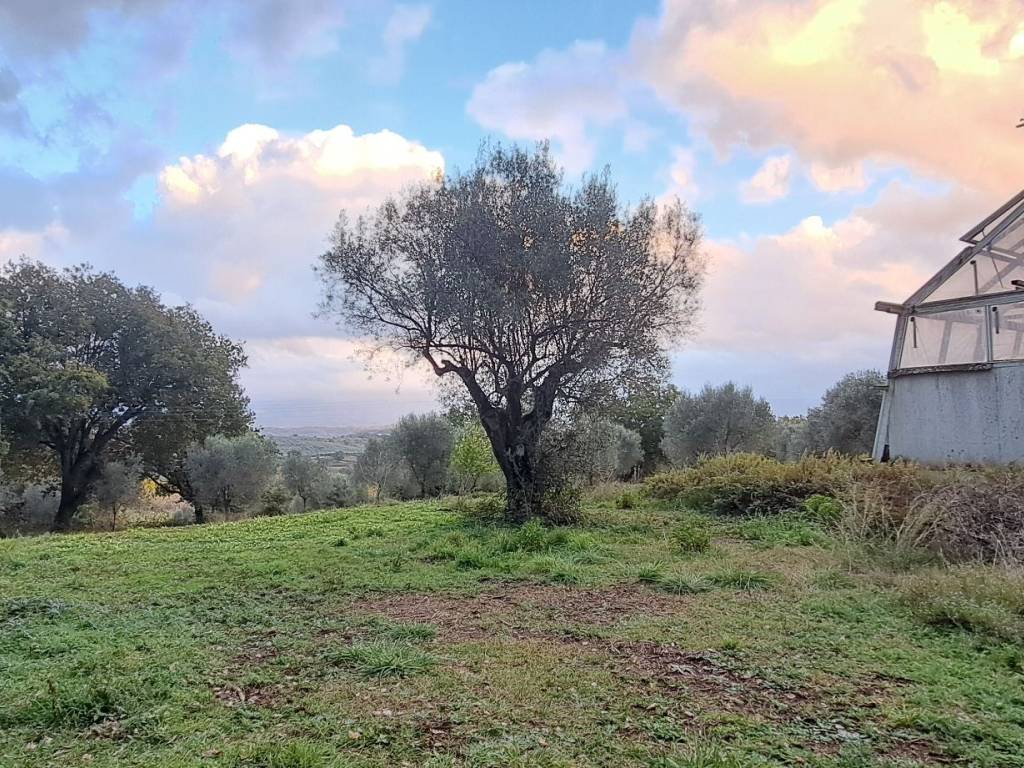 Immobile a Stefanaconi in Contrada Croce Nivera - Foto 5