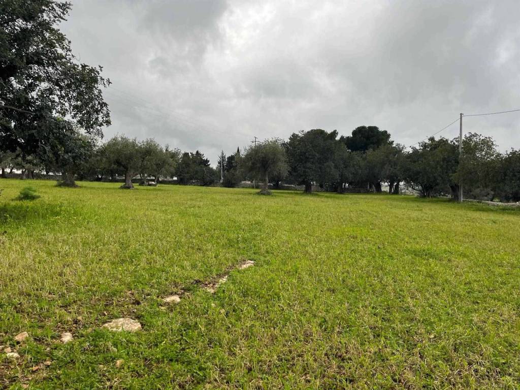 Terreno a Rosolini in Via Perpetua - Foto 2