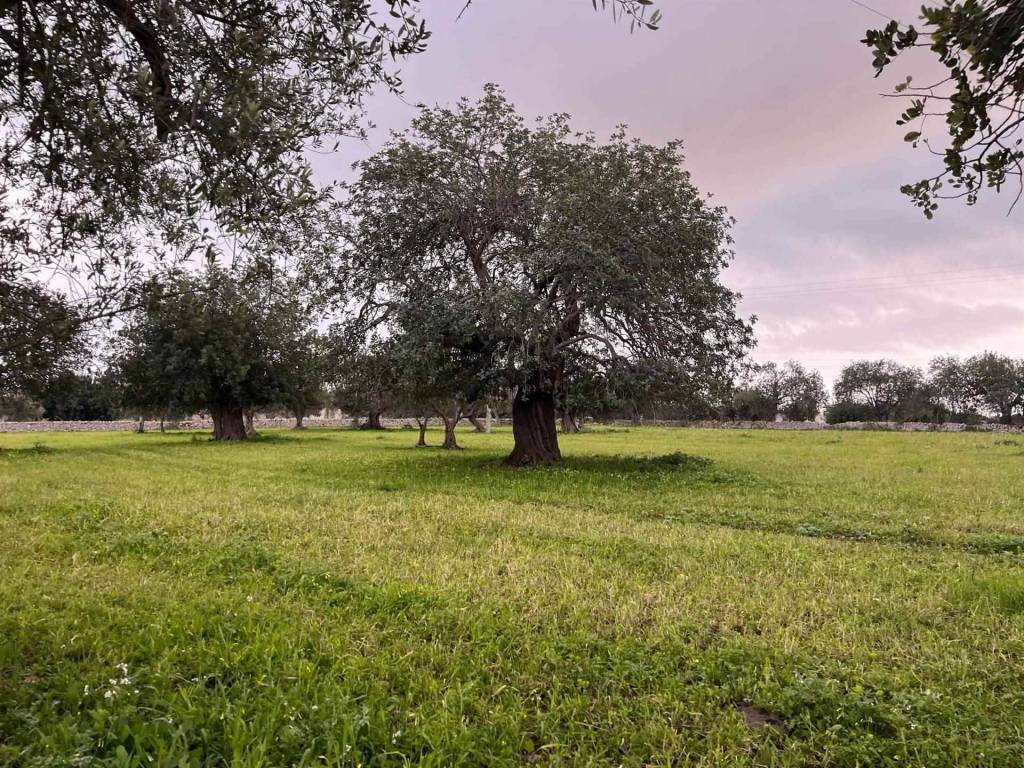 Terreno a Rosolini in Via Perpetua - Foto 4
