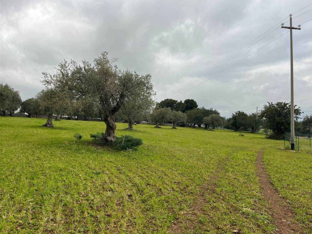 Terreno a Rosolini in Via Perpetua - Foto 5