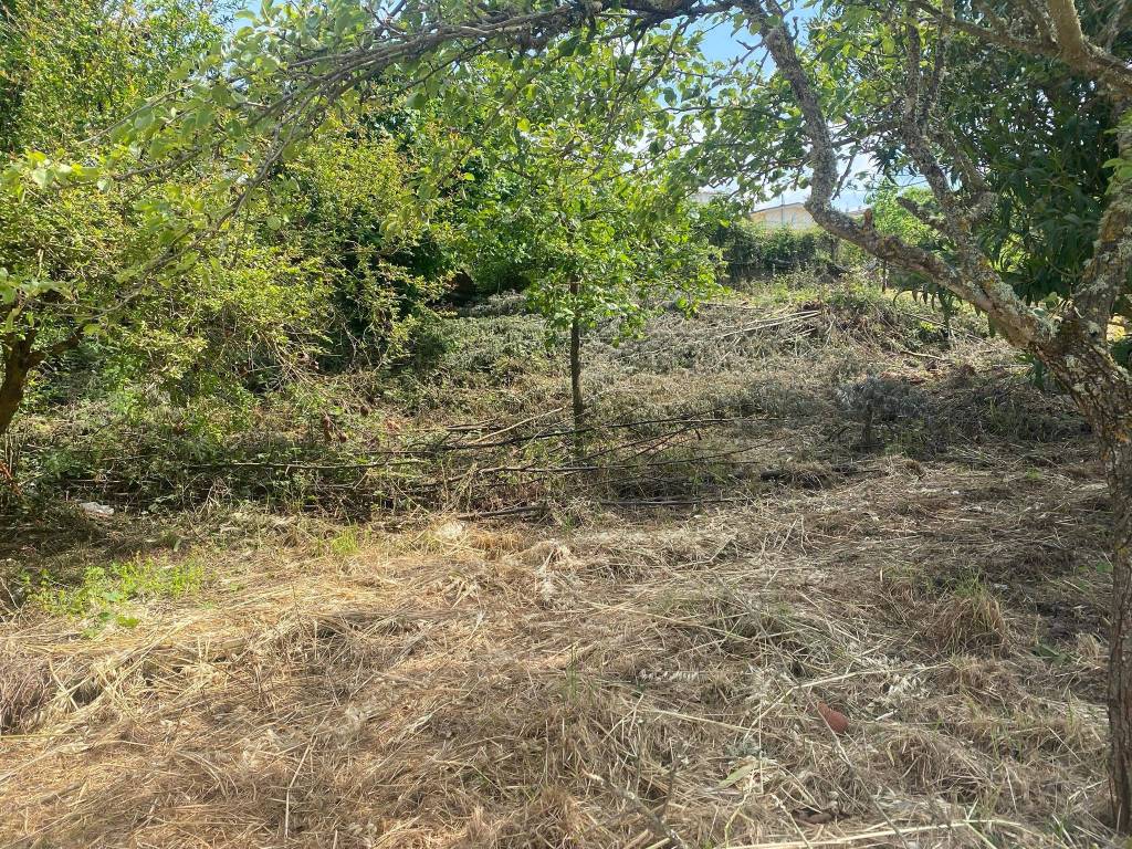Terreno a Vibo valentia in Contrada Cocari - Foto 3