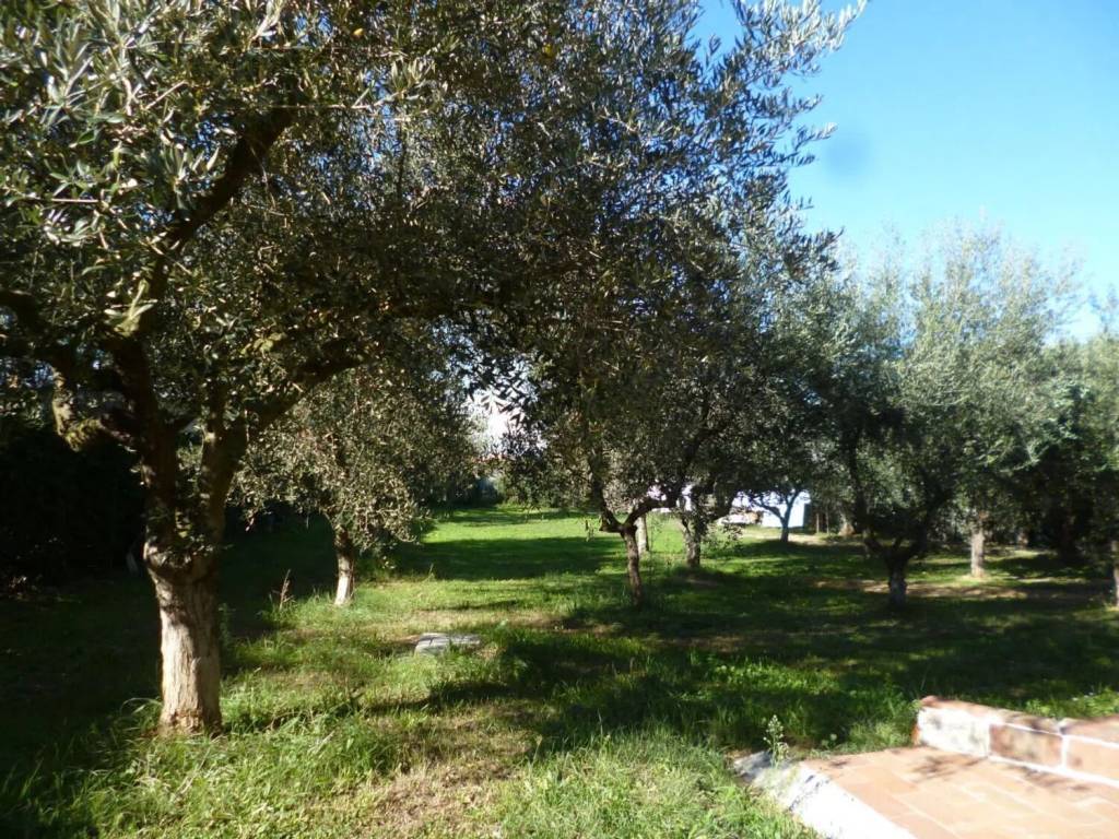 Villa a Livorno - Foto 5