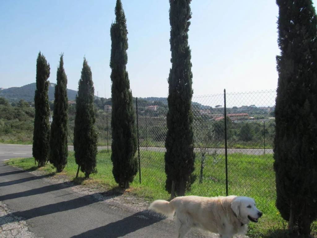 Villa a Livorno - Foto 3