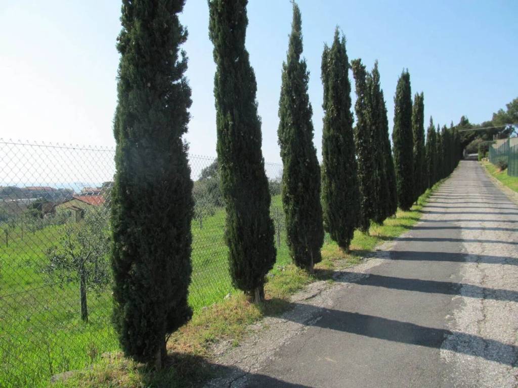 Villa a Livorno - Foto 5