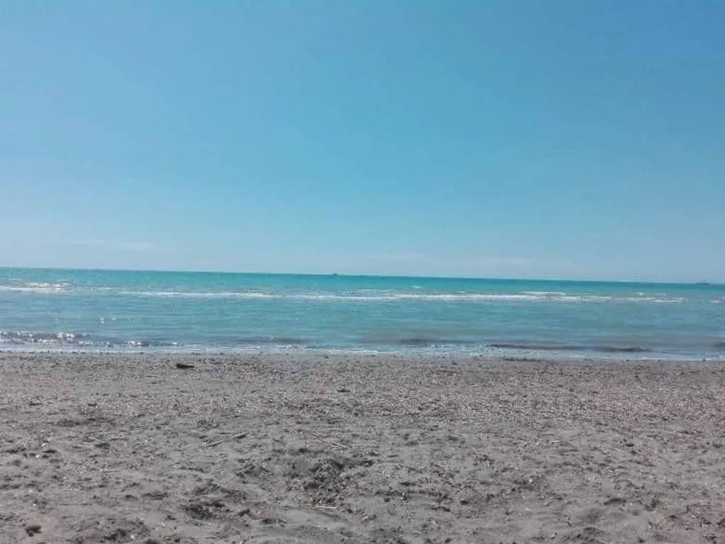 Appartamento a Rosignano marittimo - Foto 4