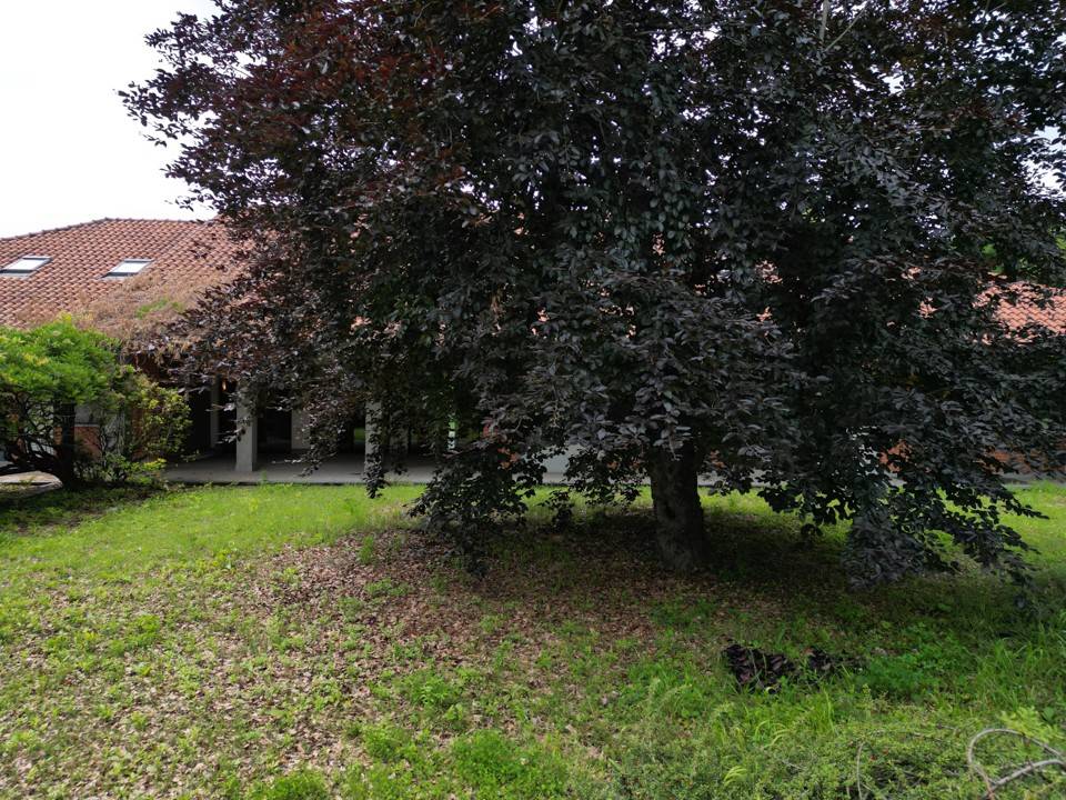Villa a Pavarolo in Via Miravalle - Foto 3