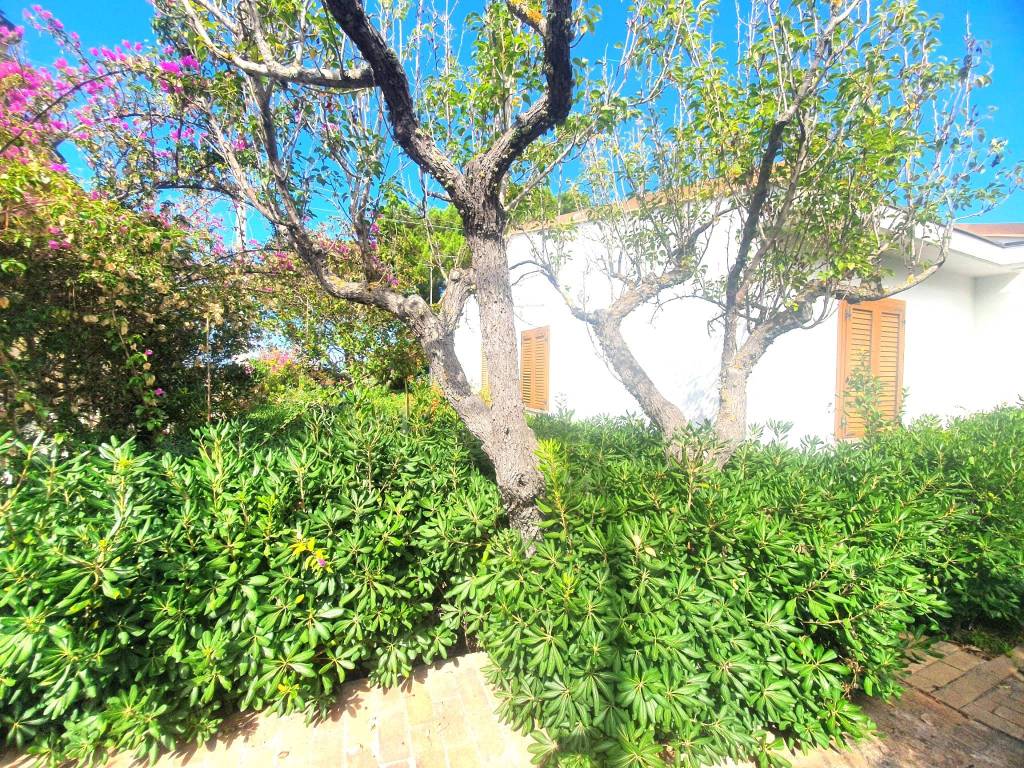 Villa a Drapia in Contrada Fazzari, 9 - Foto 2