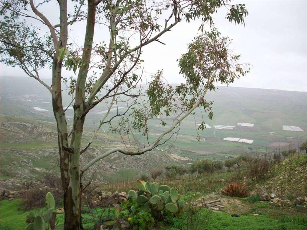 Terreno a Agrigento in contrada borraitotto - Foto 4