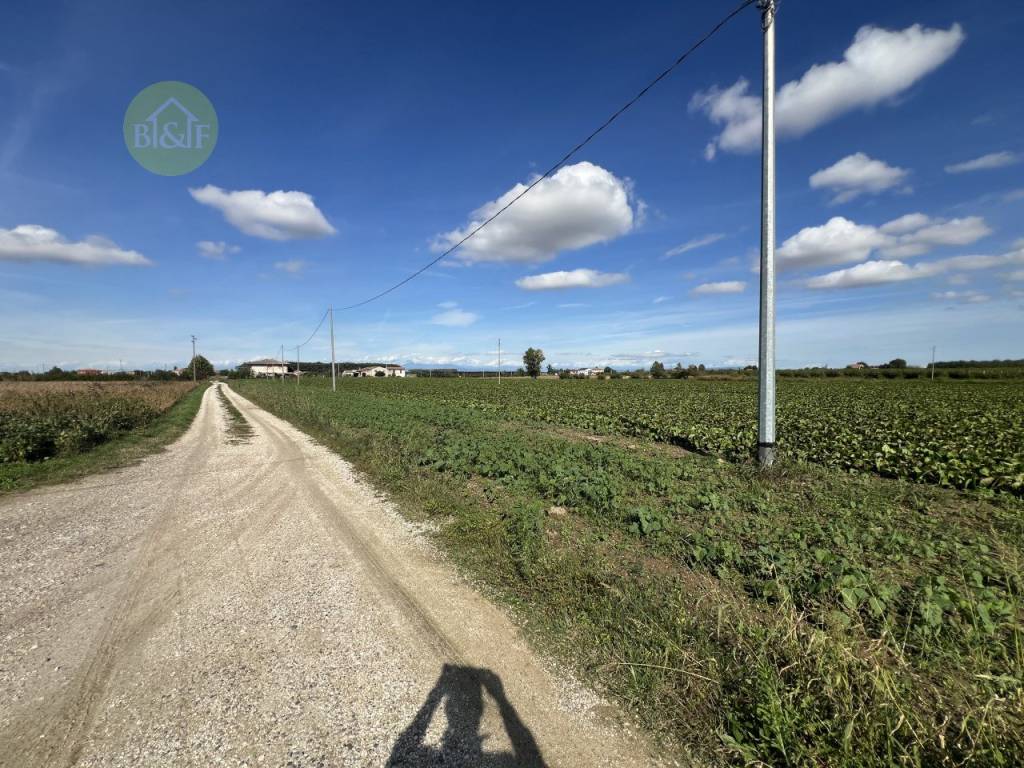Terreno a Bevilacqua in bevilacqua - Foto 2