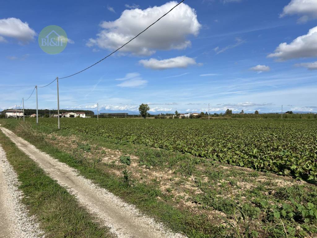 Terreno a Bevilacqua in bevilacqua - Foto 3