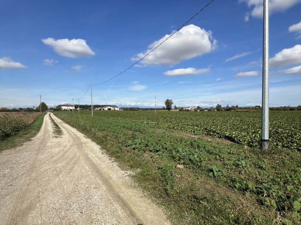 Terreno a Bevilacqua in bevilacqua - Foto 4
