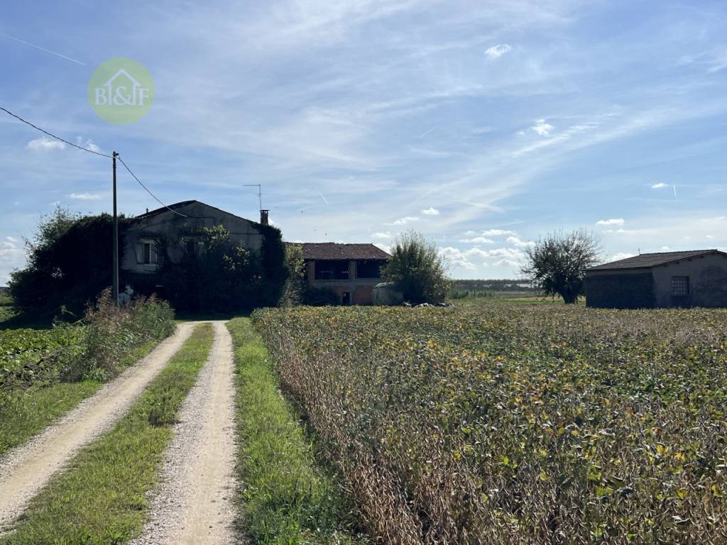 Terreno a Bevilacqua in bevilacqua - Foto 5