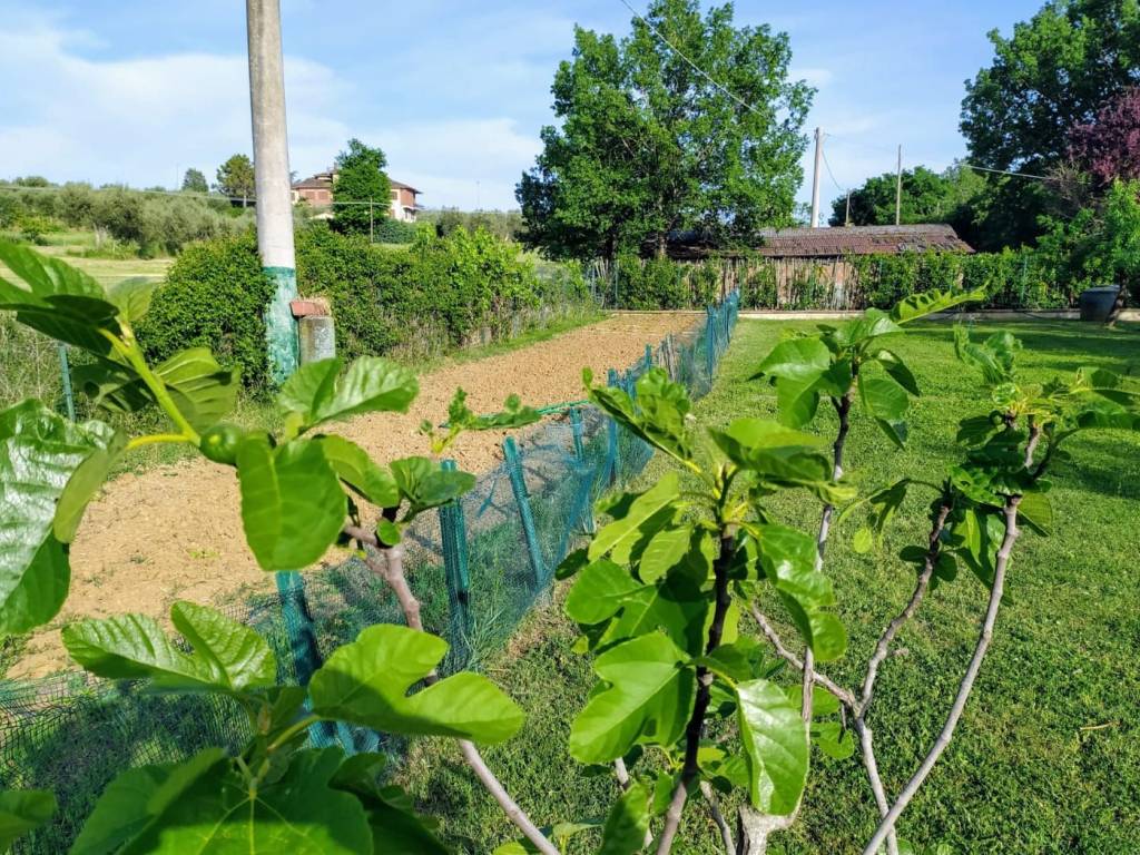 Villa a Tuoro sul trasimeno in Via Puntabella - Foto 5