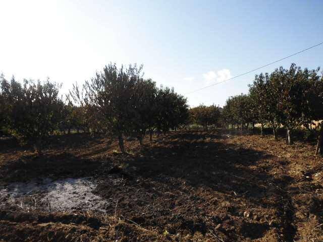 Terreno a Agrigento in via - Foto 2