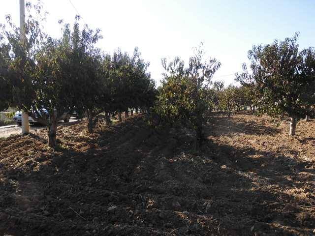 Terreno a Agrigento in via - Foto 3