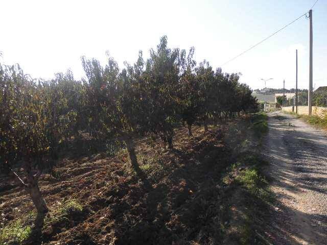 Terreno a Agrigento in via - Foto 4