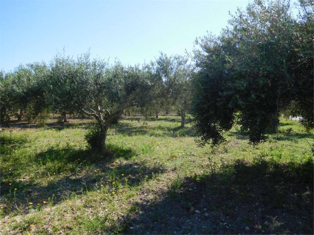 Terreno a Agrigento in via - Foto 2
