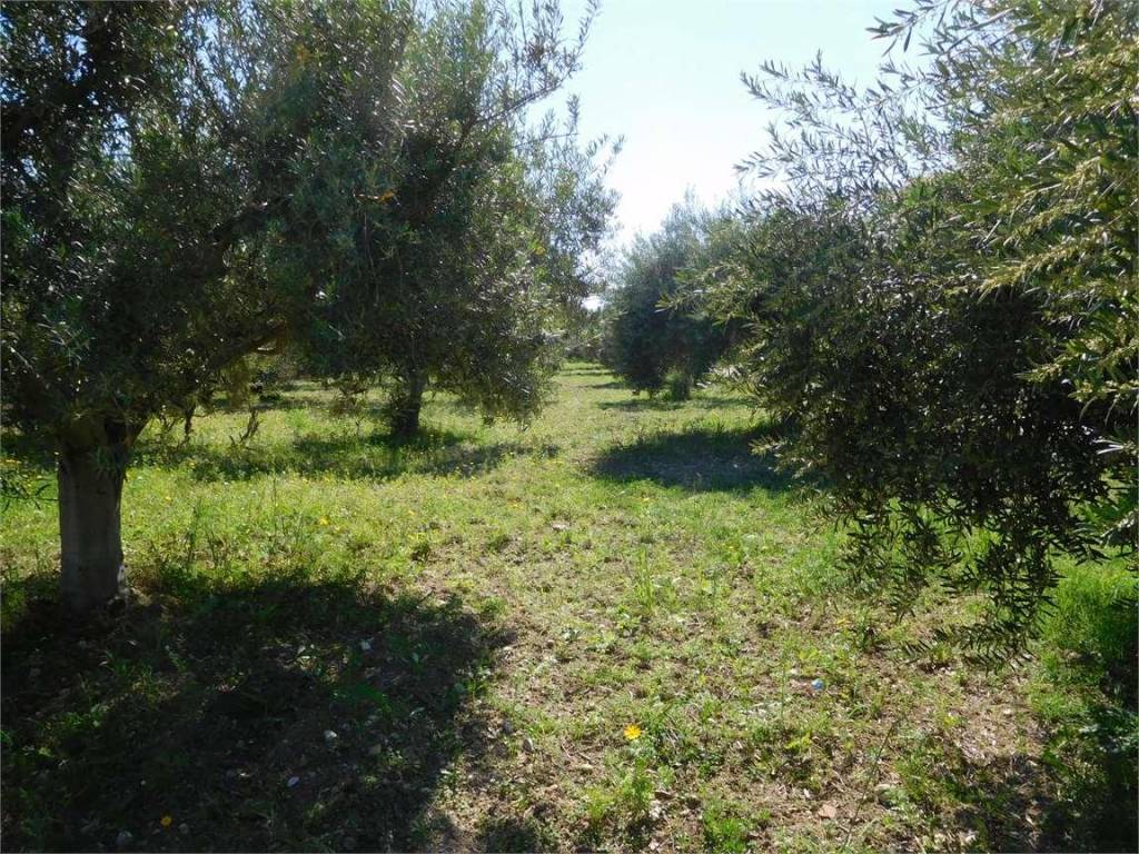 Terreno a Agrigento in via - Foto 3
