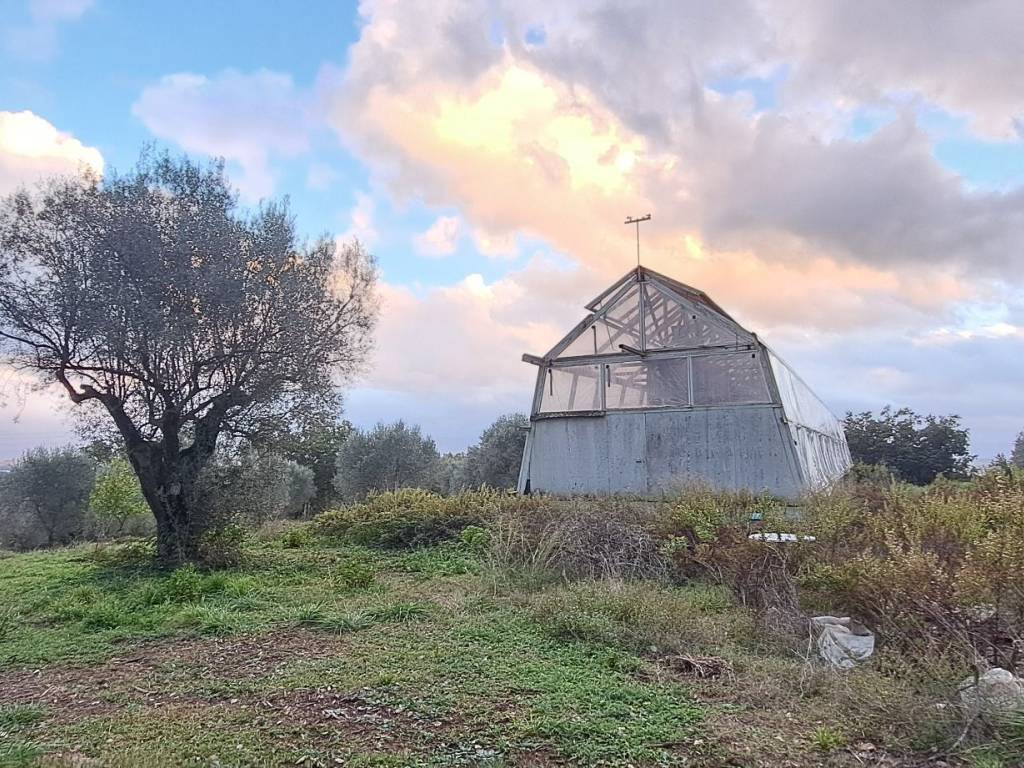 Terreno a Stefanaconi in Contrada Croce Nivera - Foto 3
