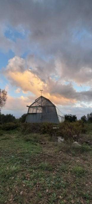 Terreno a Stefanaconi in Contrada Croce Nivera - Foto 4